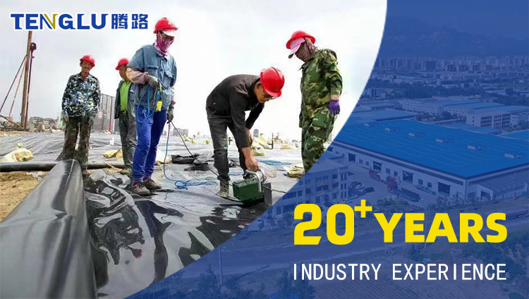 Tenglu 0.2-1.5mm Plastic HDPE Geomembrane Welding Machine for PP HDPE PE PVC EVA