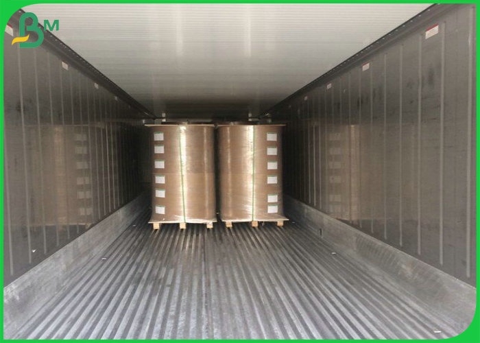 pe coated white kraft paper