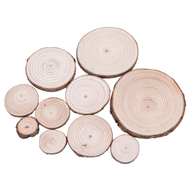 Bark Log 12cm Unfinished Wood Crafts Natural Wood Slices