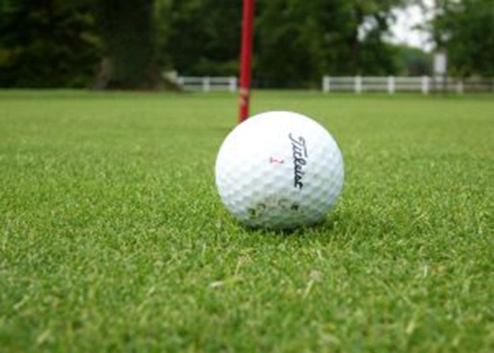 Real Looking Office / Residential Indoor Golf Putting Mat Waterproof Artificial Grass