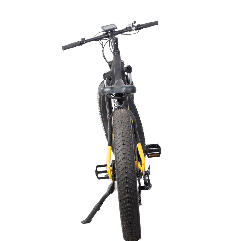 Customized Dual Motor Electric Mountain Bike with Central Motor and Max Speed 50km/h