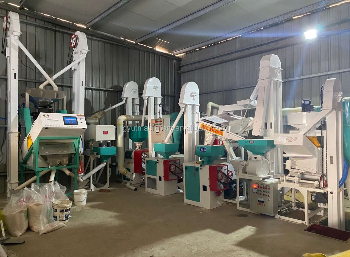 1300 KG Capacity Home Rice Water Ball Polisher for Super Whiter Rice Mill Machine