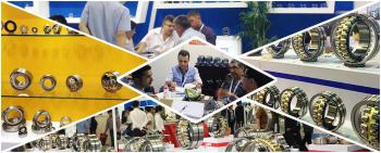 Anhui Topzy Bearing Co.,Ltd