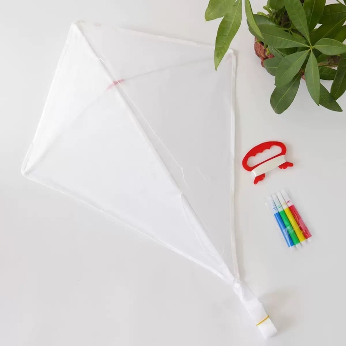 Customized Photo Printing Sublimation Blank White Polyester Kite