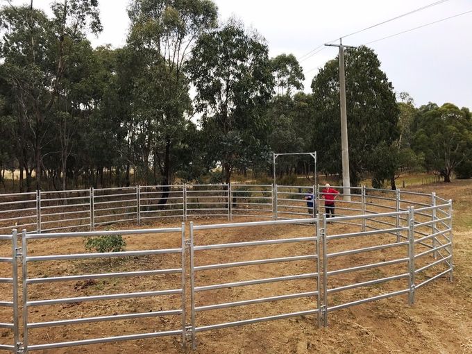 Heavy Duty 25pcs Bundle Heavy Duty Cattle Corral Panels For Sale & Gate for Au