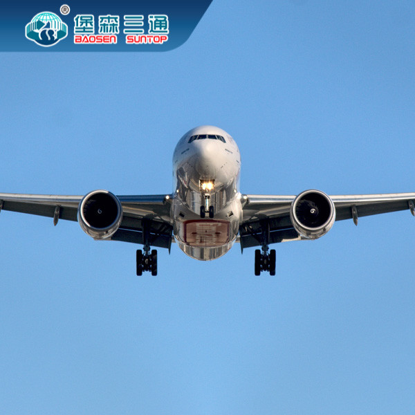 LCL FCL FBA International Shipping From China To UK Germany Netherlands France Italy