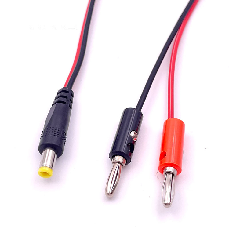 12v DC 5.5mm X 2.1mm Male to 4mm Banana Plugs Cable