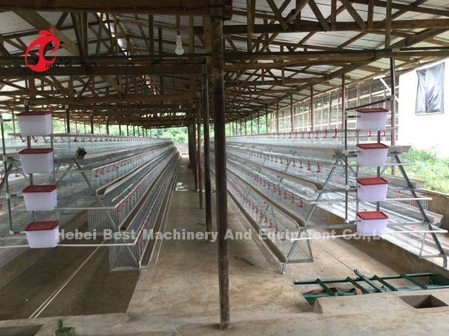 Anti Rust Poultry Layer Cage For Egg Laying Hens With 25 Years Lifespan Emily