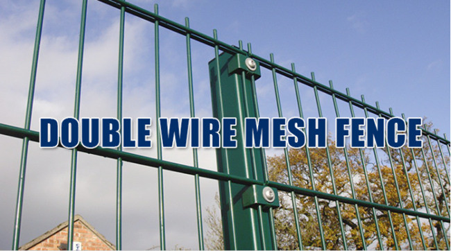 8mm H2.43m 868 Twin PVC Coated Wire Mesh Fence 2D Double High Tensile