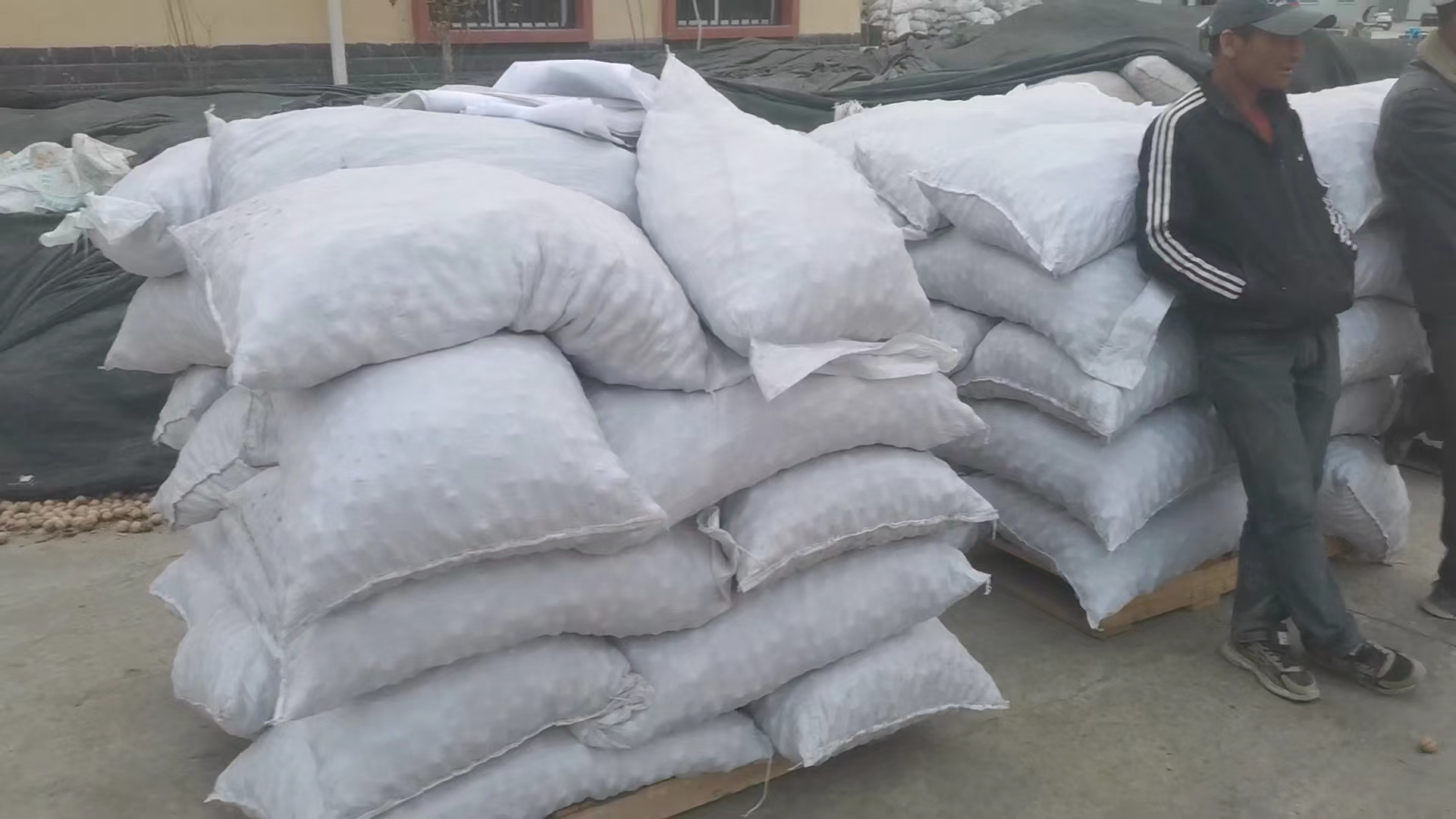 Factory 1kg Walnuts Price Walnut Halves Wholesale China Top Thin Raw Amber 25kg/bag Packaging Raw Dried Walnut Kernel Dried Nuts