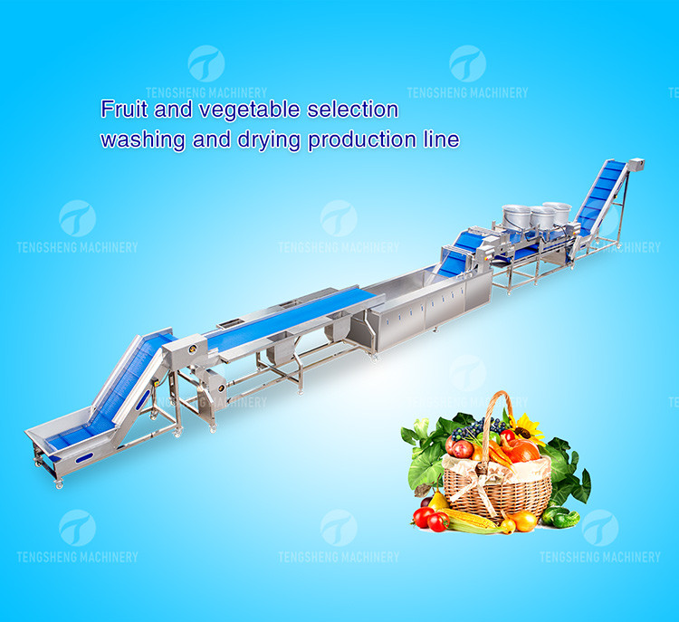 1500KG/H Fruit And Vegetable Processing Line cleaning Sorting Machine