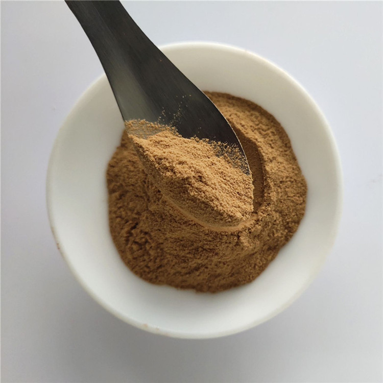 Gmp Certificate Manufacturer Fennel Seed Extract