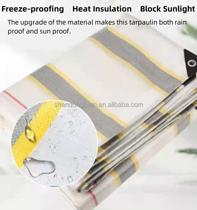 Striped Color Coated PE Tarpaulin Waterproof and Sun Blocking for Outdoor-Agriculture