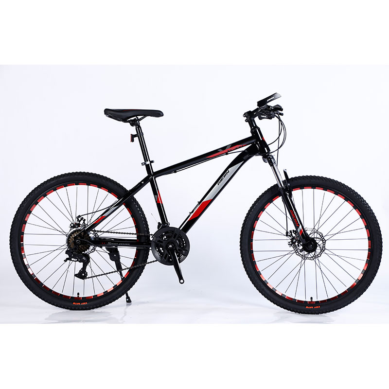 24 Inch Mountain Bike Tires with Fork Sus Fokr Lockable and Double Wall Rim Color Cnc