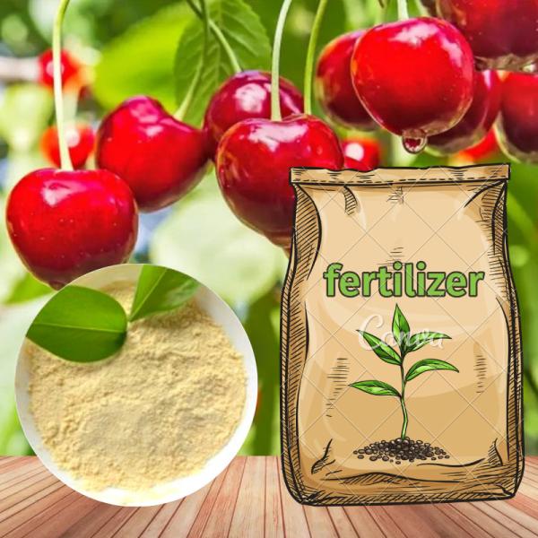 Water Solubility Aminal Amino Acid Chelate Boron Organic Fertilizer For Field
