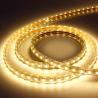 Buy cheap 12v/24v SMD LED Flexible Strips Copper Lamp Body 3528/5050 IP/20/65/67/68 from wholesalers