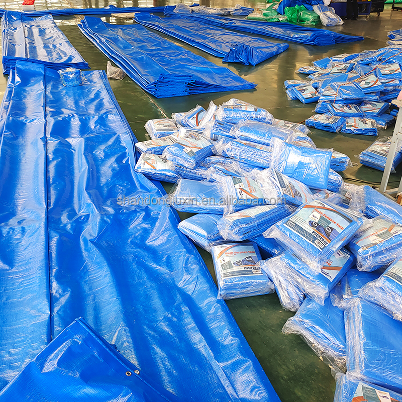 Market HDPE Tarpaulin Customized with Eyelets and Logo Printing