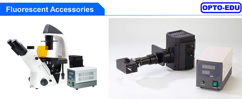 OPTO-EDU A16.2614-UL China Supplier High Brightness Inverted Ultra LED Fluorescent Microscope Price