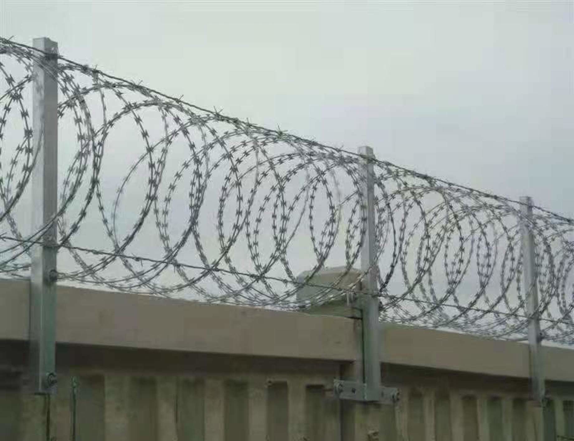Stainless Steel Razor Barbed Wire Straight Razor Blade Barbed Wire Grass Green