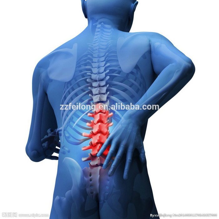 High Comfort Non Surgical Spinal Decompression System Lumbar Muscle Strain