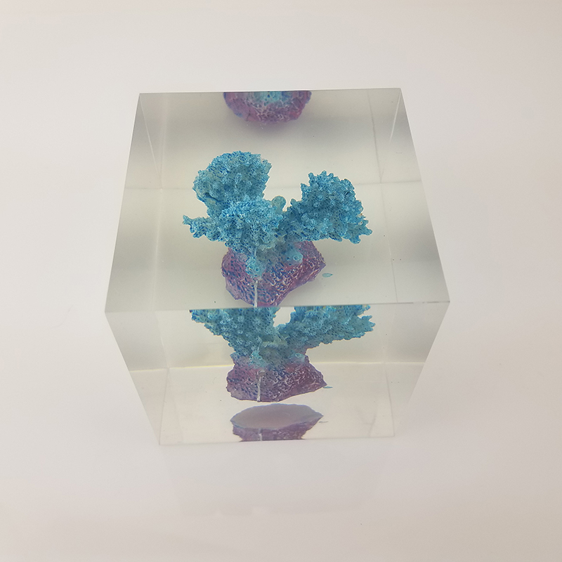 Transparent resin cube brick paperweight with Coral inside