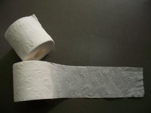 Buy cheap embossed 2ply Toilet Tissue roll, bath tissue, toilet paper product
