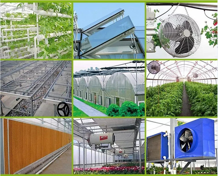 BA ANSI Greenhouse Metal Frame Parts Q235 Farm Agricultural Greenhouse Gi Pipe