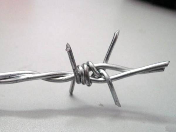 Double strand barbed wire
