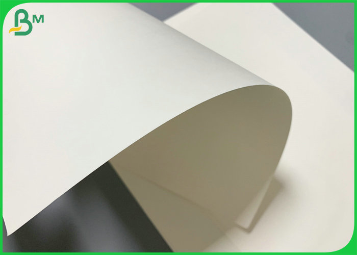 250g + 20g PE Coated Food Grade Paper For Ice Cream Industry  