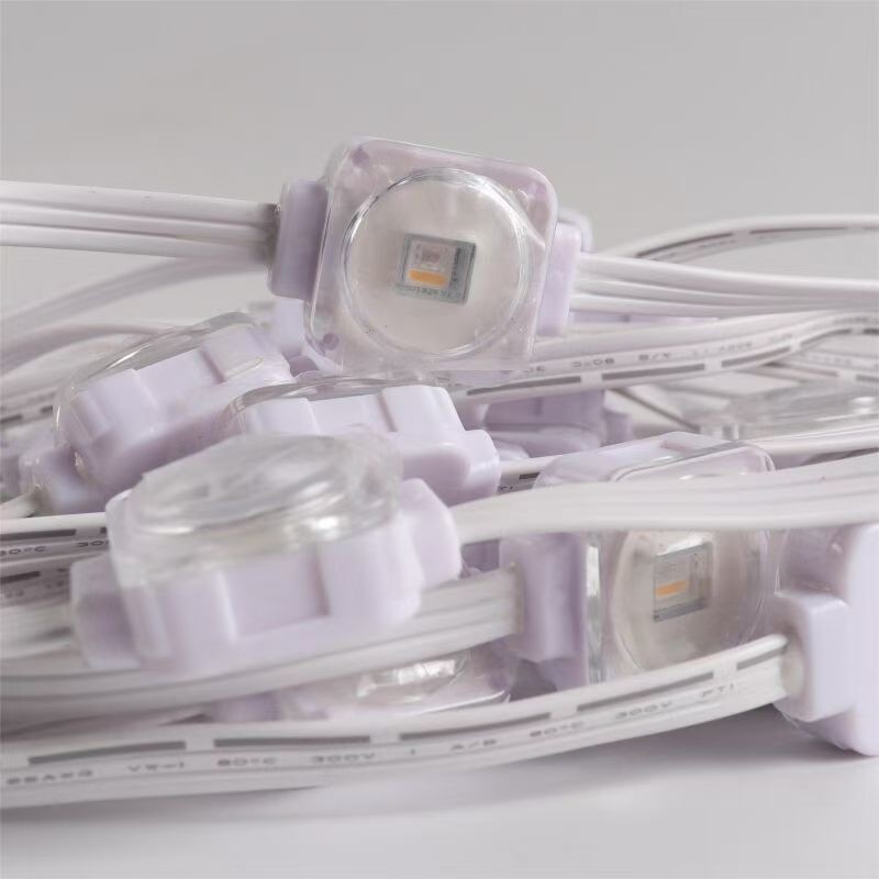 Outdoor Christmas Decoration 160 Led RGBW SMD5050 Eave Lights with Remote Control