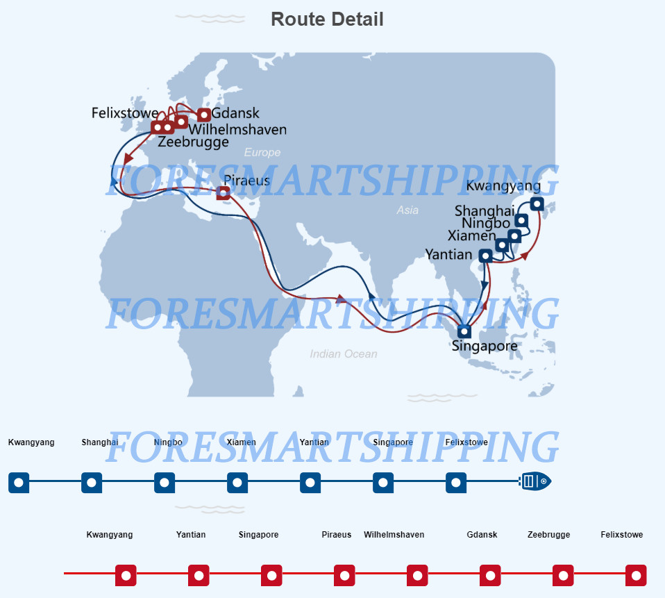 China To Europe LCL Sea Shipment LCL Cargo Shipping