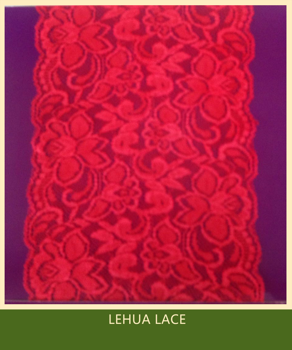 Hot Selling and nice quality Nylon Spandex Stretchy Brazil Lace from China