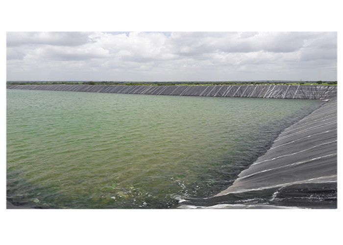 Fish Pond Polyethylene Geomembrane Waterproof Aquaculture Hdpe Impervious
