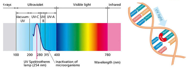 E27 220V 15W UVC Germicidal Lamp , Ultraviolet Bactericidal Uv Lamp