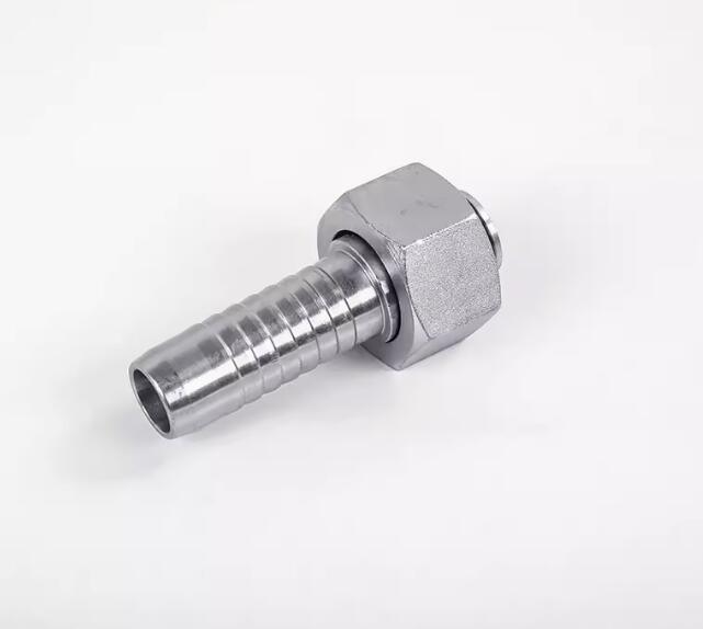 Hydraulic Fittings and Hoses Bsp Female 60 Degree Cone Hose Fitting 20411