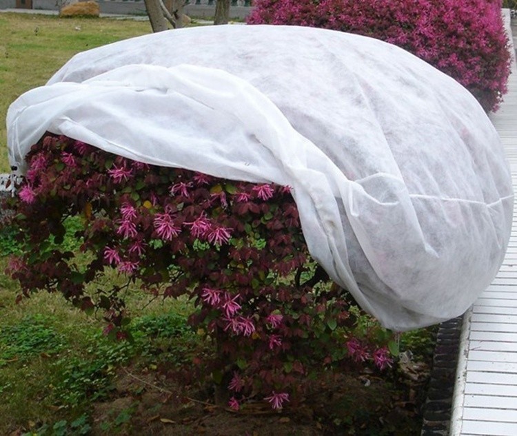 100% Polypropylene Agriculture Greenhouse Anti Insect Net Non Woven Fabric