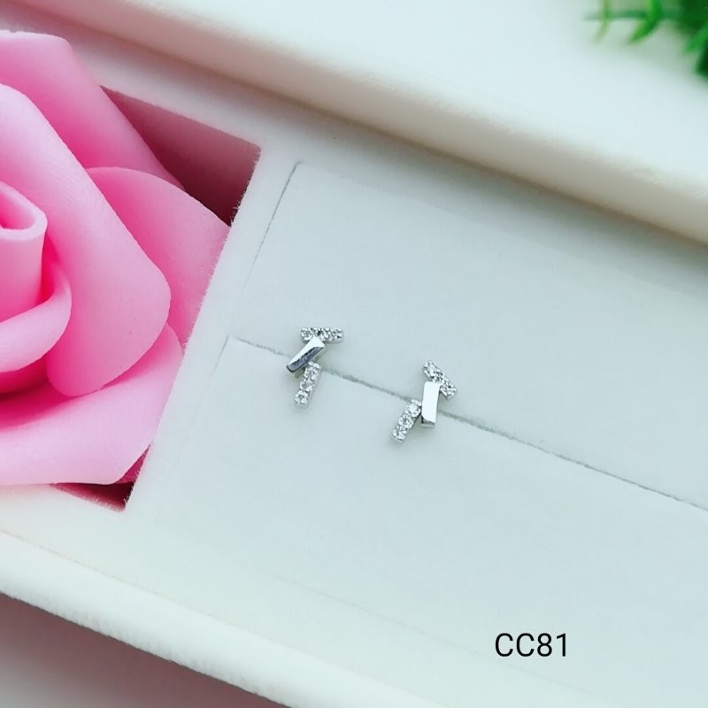 2018 New Style Fashionable Ear Stud Beautiful Silver Earrings For WomenCC81