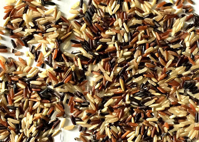 Black Rice Industrial Sorting Machine With Intelligent Dust Extraction System