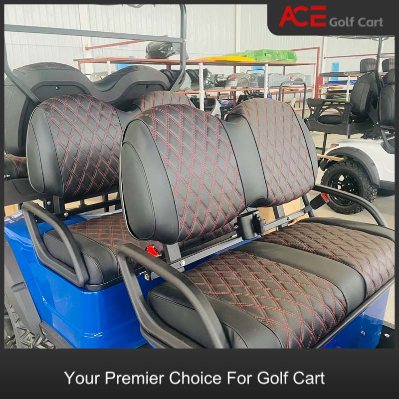 Luxury EV Golf Cart Blue Color Custom 6 Seater Golf Cart