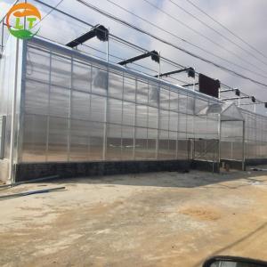Buy cheap Shading System Polycarbonate Greenhouse for Growing Vegetable Fruits and Flowers product