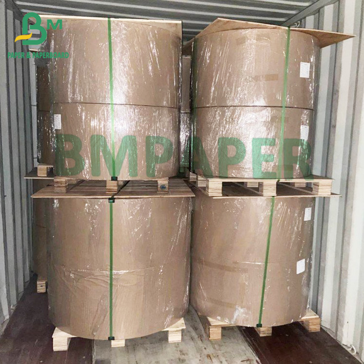 Excellent Water Absorbent Paper And Paperboard Blotter 0.5mm Thick