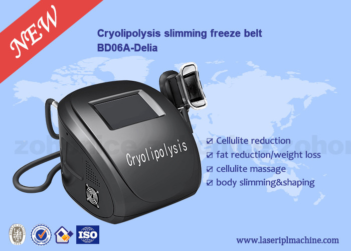 Body Sculpting Cryolipolysis Slimming Machine Portable Style Weight Loss Machine