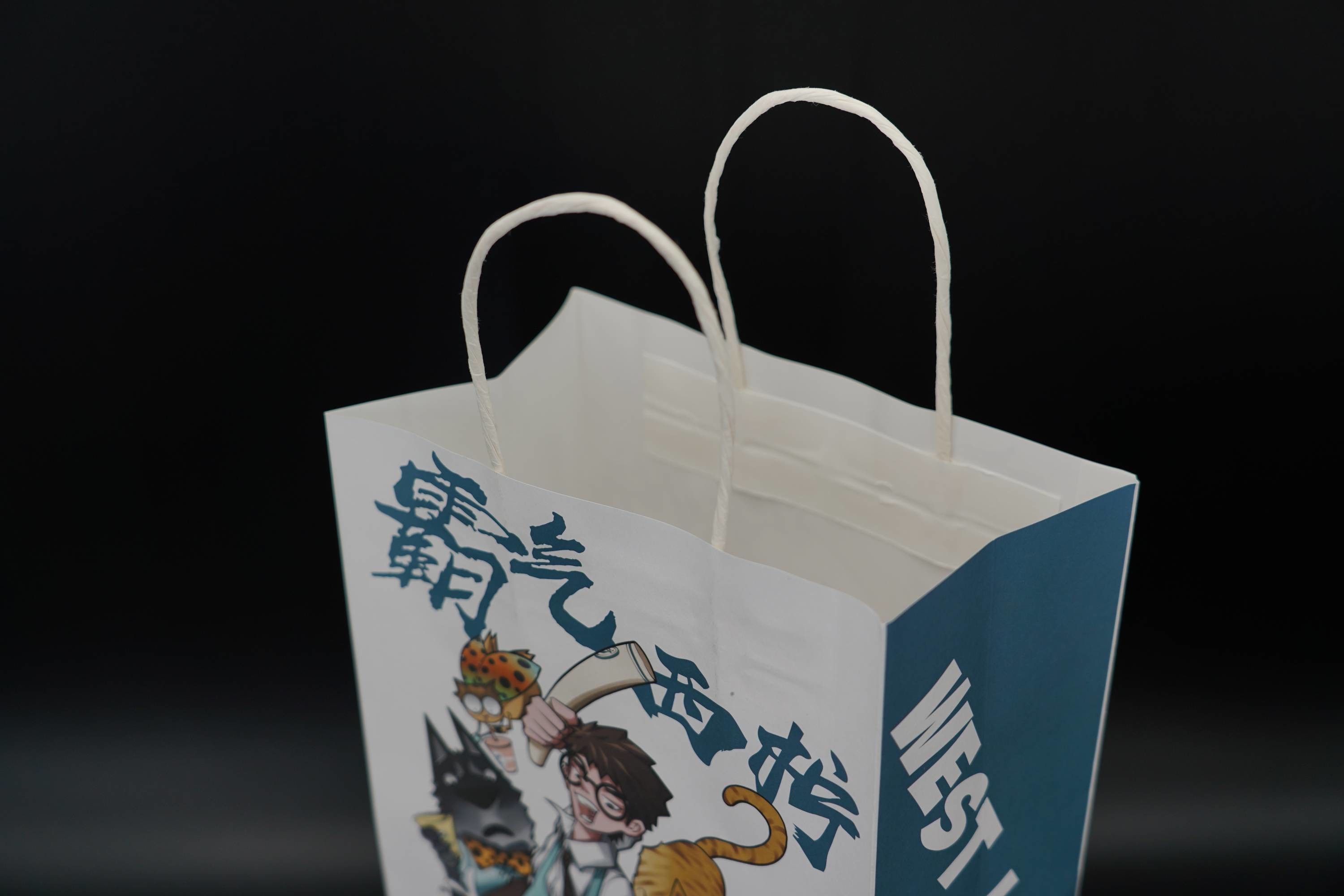 Lightweight Printed Twisted Handle Paper Bags Juice Takeaway Paper Bags