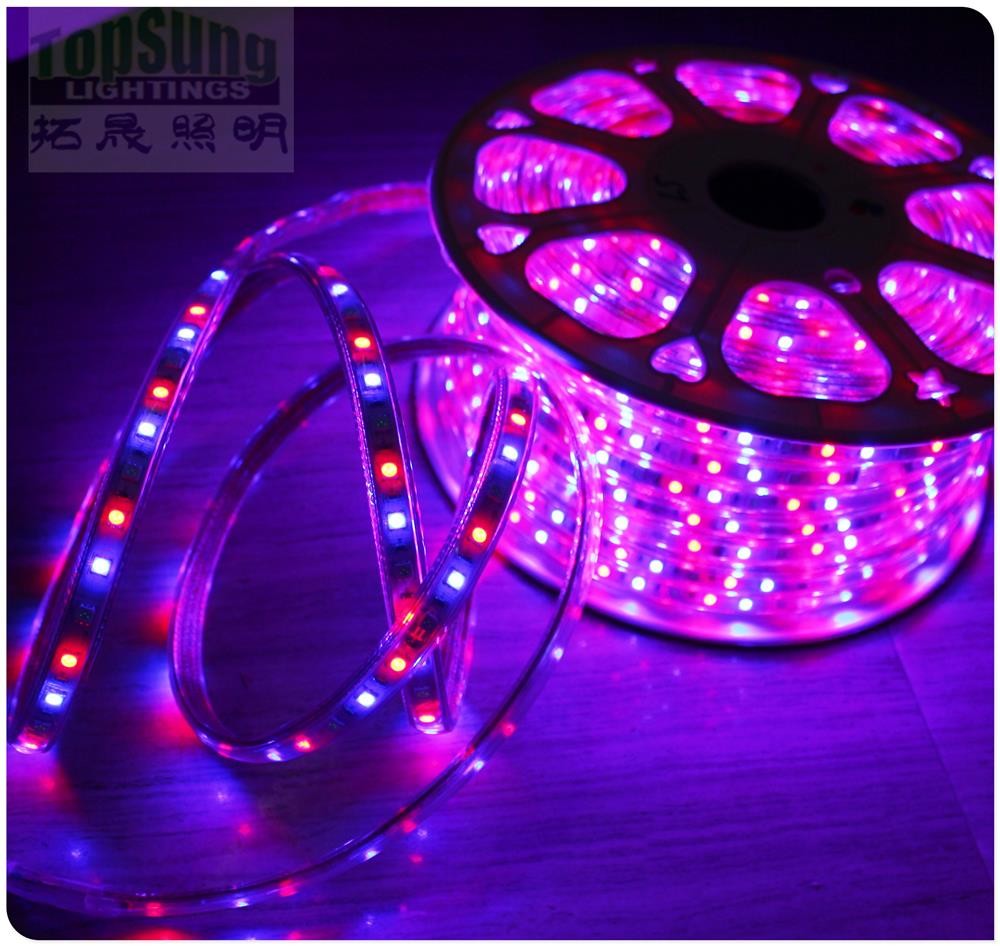 Wholesale AC 240V led strip 100m white christmas ribbon 5050 smd 60LED/M flexible rope light