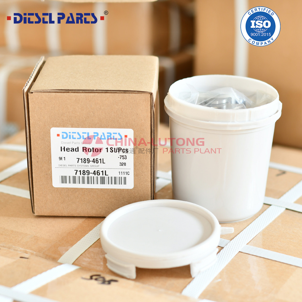 7189-461L Wholesale New Diesel Fuel Pump Head Rotor 7189-461L with Rotor 018L 3/7R Factory direct sale high quality diesel DPT pump head rotor 7189
