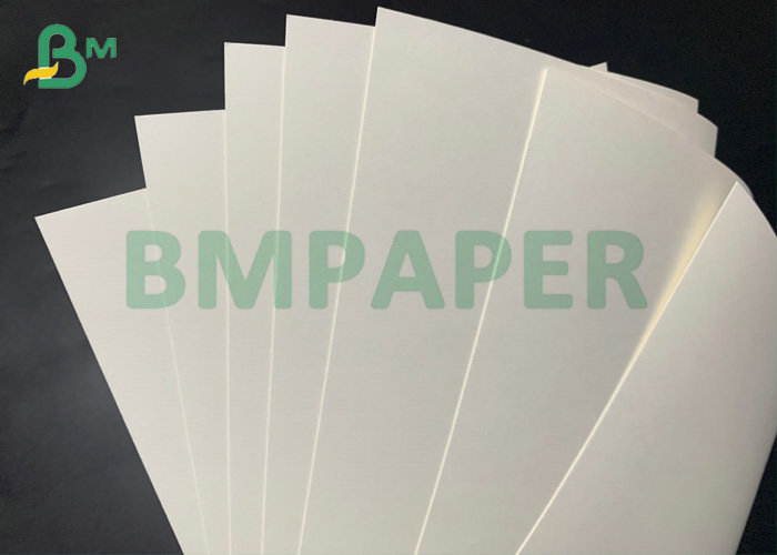 Cup Paper C1S C2S 15g PE Coated Paper 185gsm 210gsm For Paper Cups