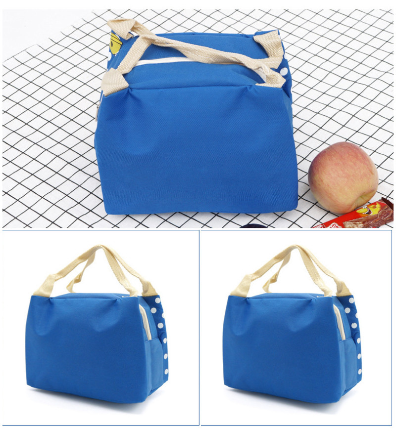PVC free L20*D15cm Insulated Thermal Lunch Box