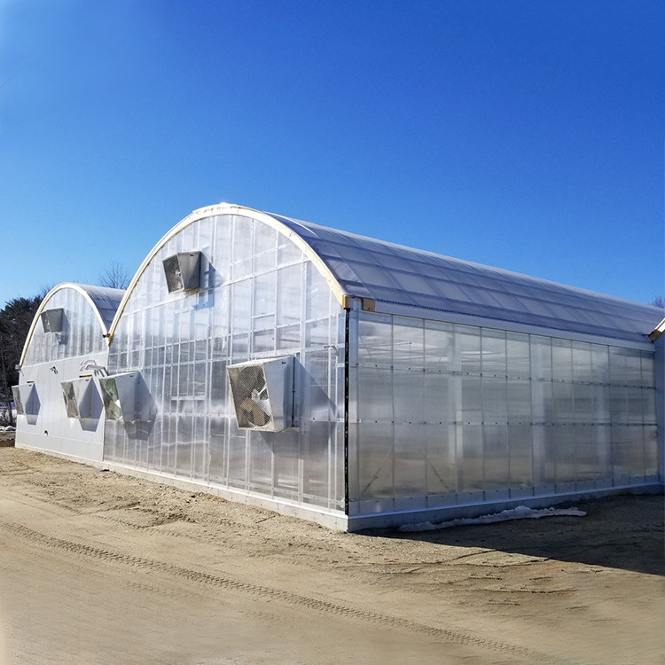 Large Polycarbonate Film Greenhouse / Multi Span Greenhouse Multi Functional