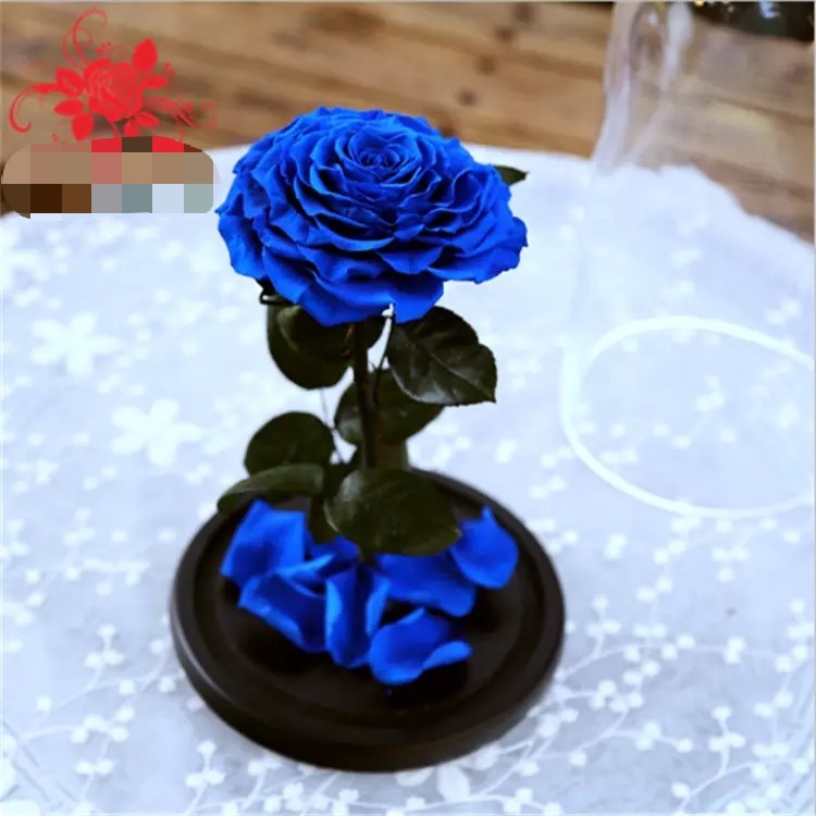 Natural Fresh Roses Flowers Everlasting Preserved Eternal Rose beautiful Rose Preserved Flower