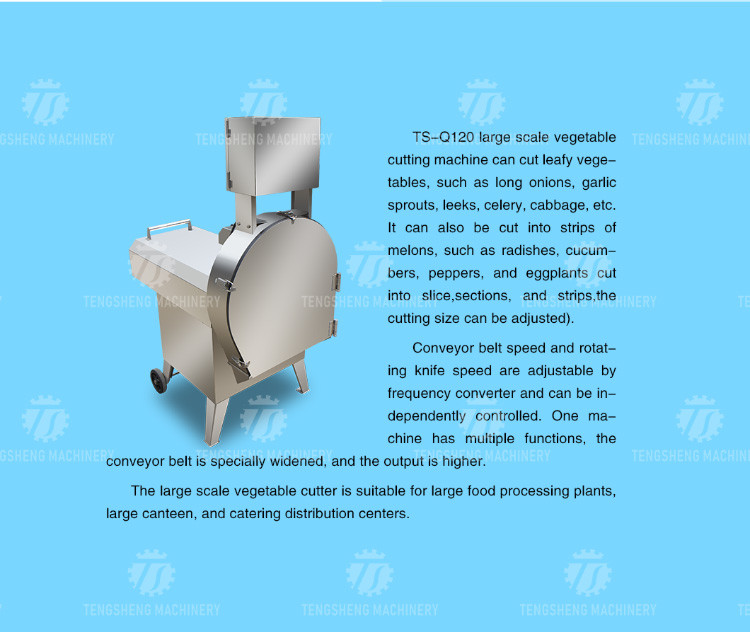 2.25KW 140KG 1.5HP Frequency conversion adjustable belt vegetable slicer vegetable leaf slicer